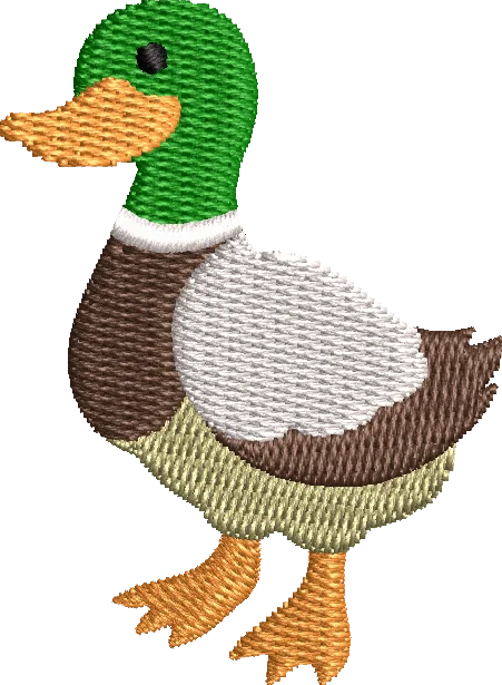 Little Duck