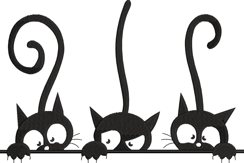 Black Cat