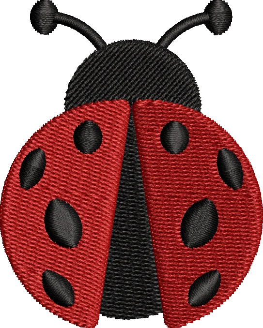 Ladybug Duo
