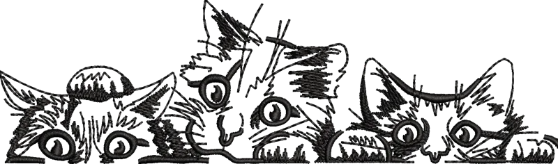 Little Cat