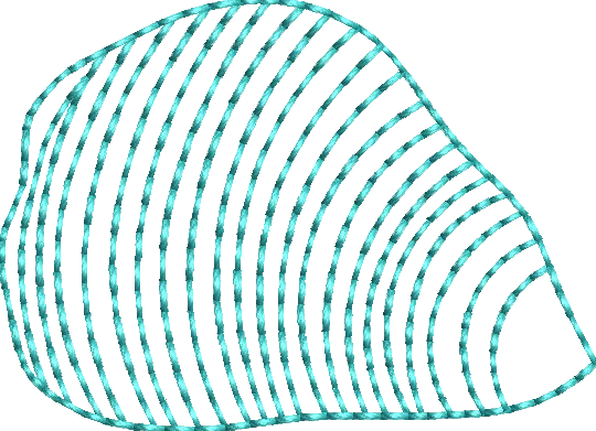 Auger Shell