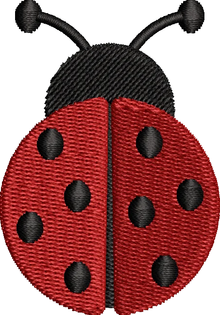 Ladybug