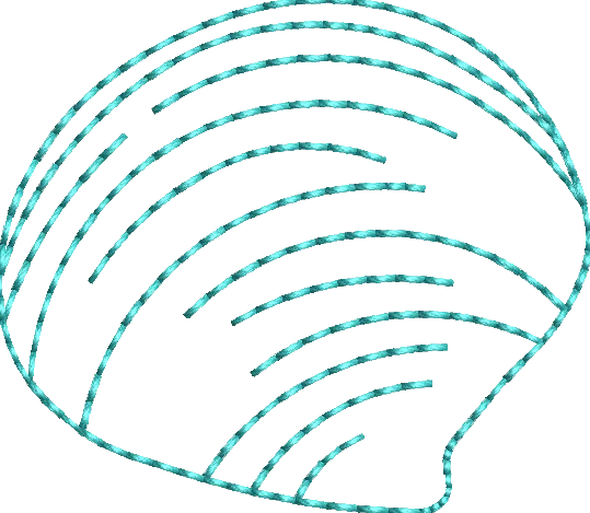 Murex Shell