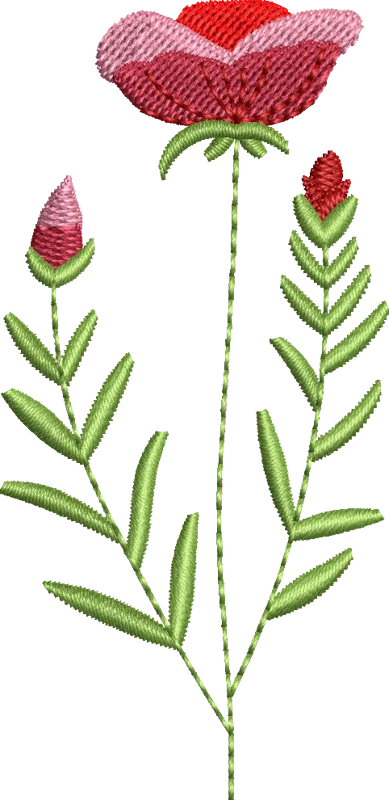 Meadow Flowers